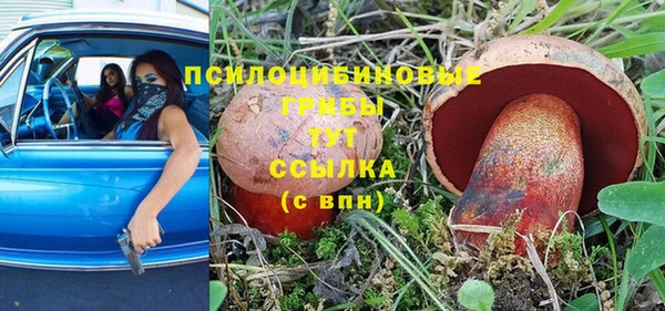 соль ск Вязьма